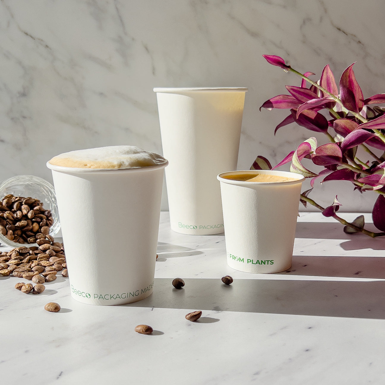 Vasos de café compostables