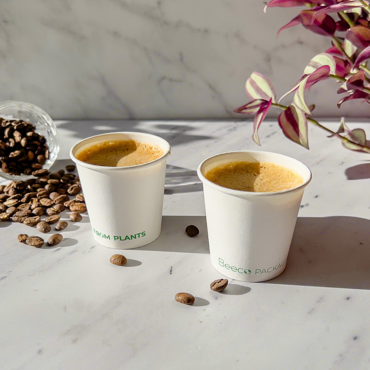 Vaso de café blanco Beeco 4oz (120ml)