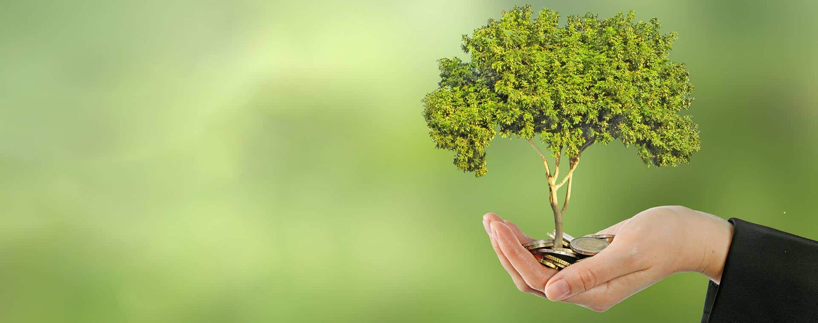 5_acciones_para_reducir_huella_de_carbono_01