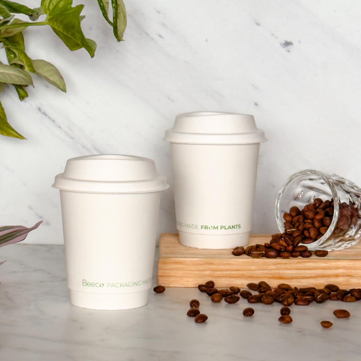Vaso de cafe blanco Beeco Doble capa 8oz (240ML)